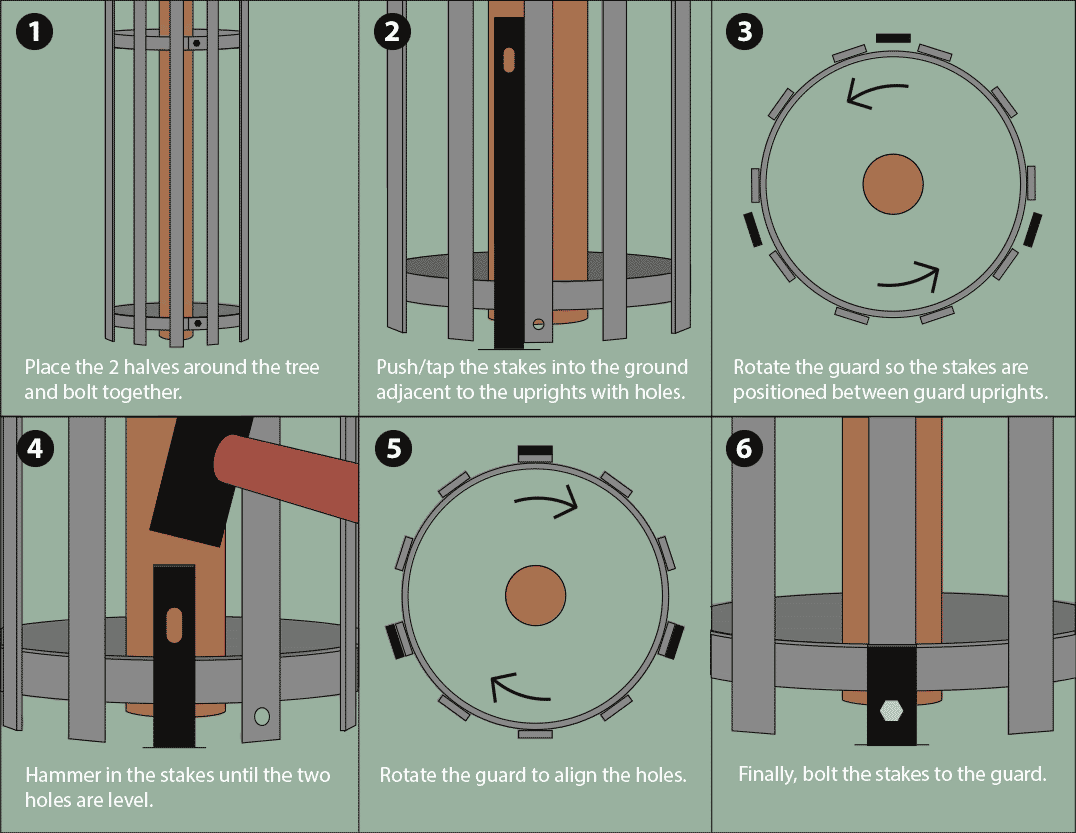 Tree guard fitting guide Tree guard fitting guide