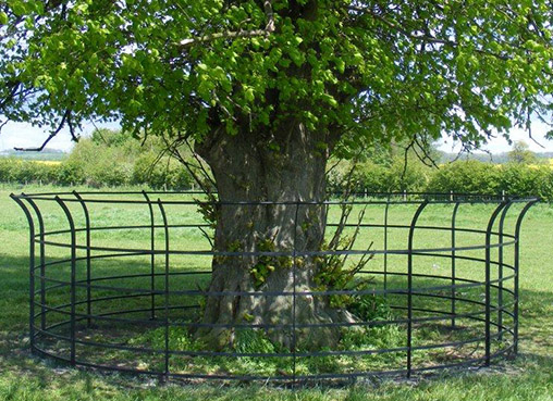 Large estate tree guard Large Estate Guard